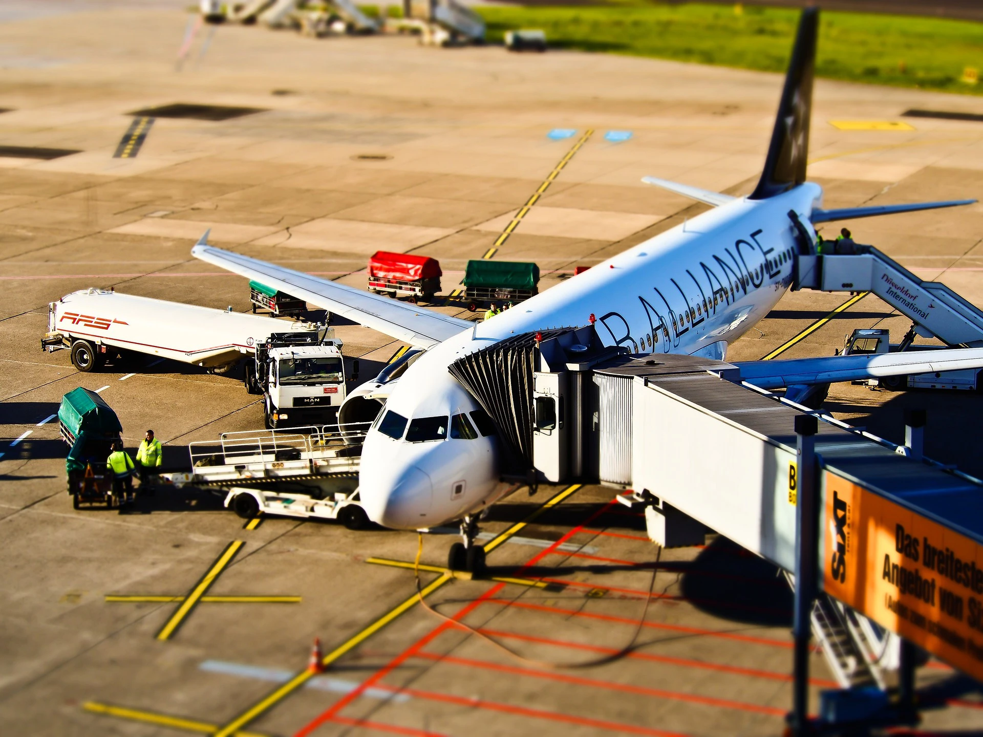 Documentation and Customs Clearance